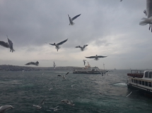 Boğaz - İstanbul